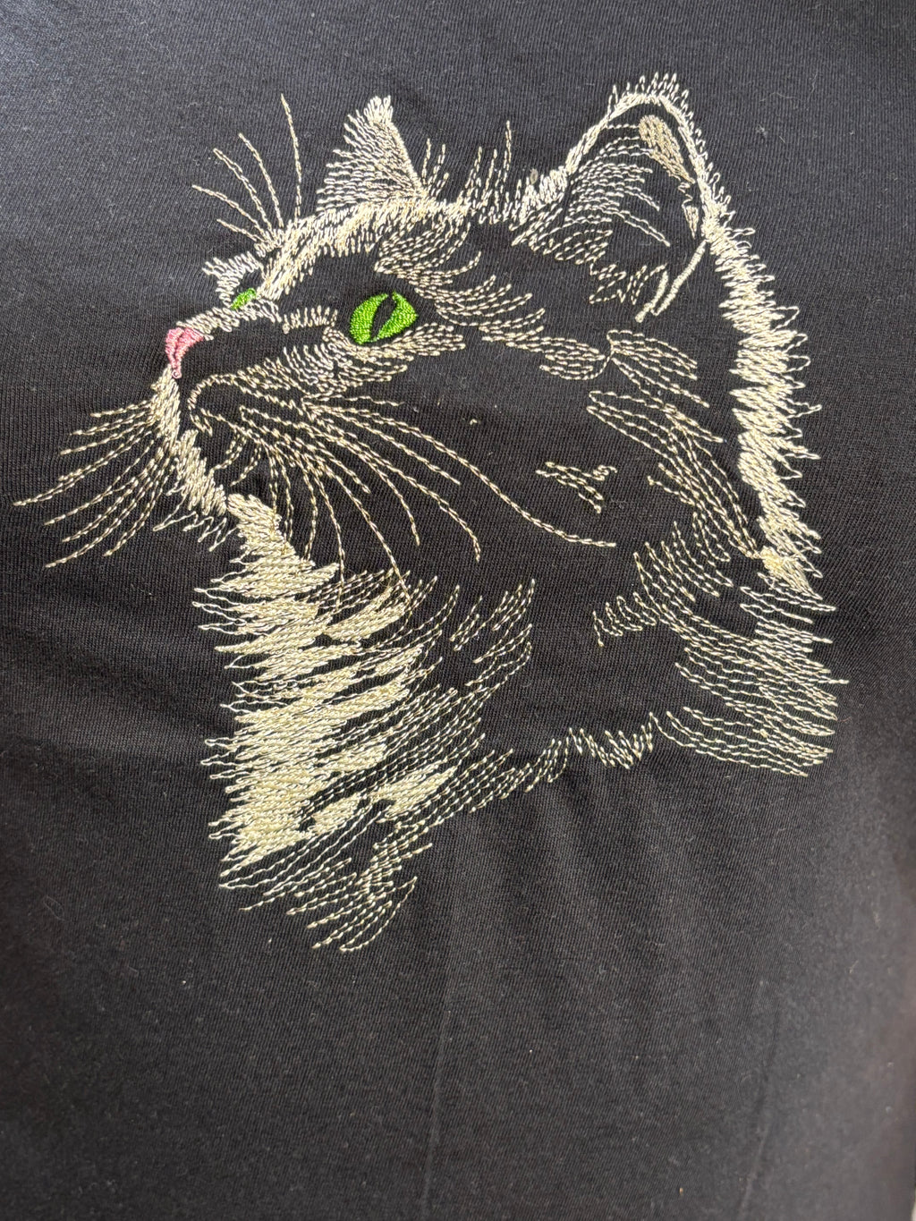 Pretty Kitty